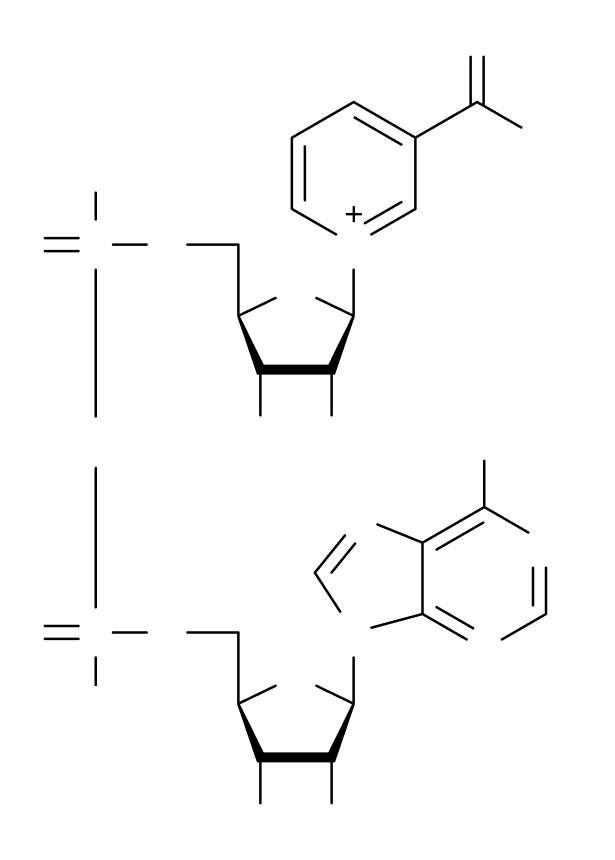 NAD+